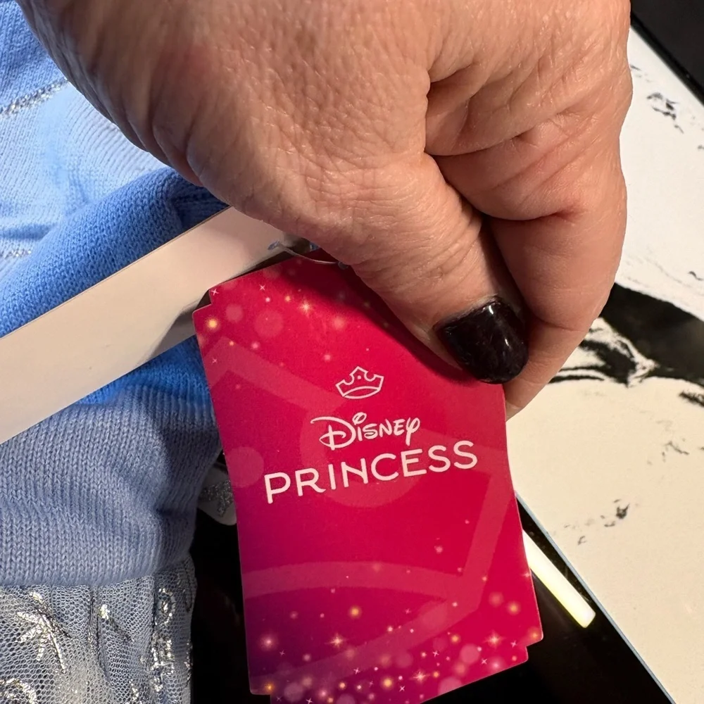 Disney Princess Sky Blue Gown